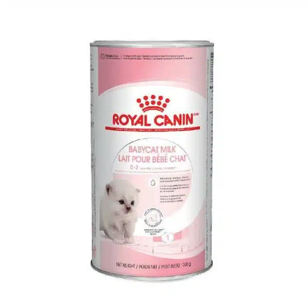 شیر خشک بچه گربه (کیتن) رویال کنین Royal Canin Babycat Milk