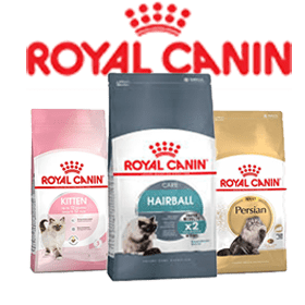 غذای گربه رویال کنین Royal Canin