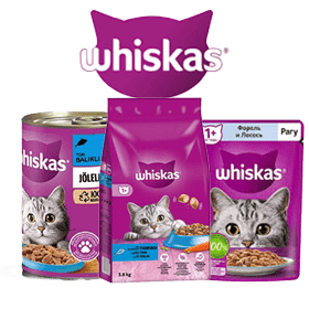 غذای گربه ویسکاس Whiskas