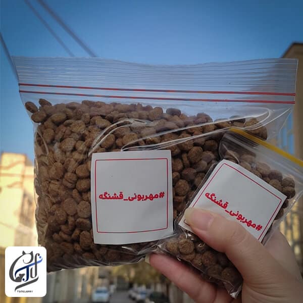 غذای حمایتی سگ