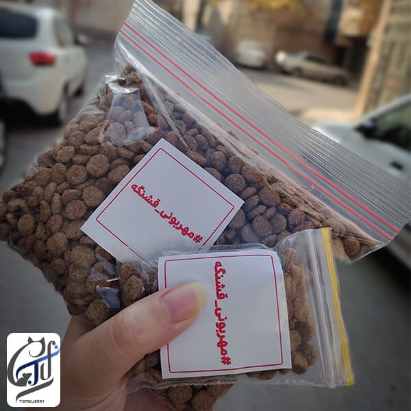 غذای سوپر حمایتی گربه