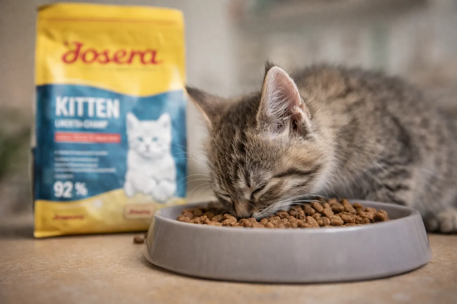 مقایسه انواع غذای سگ و گربه جوسرا از نظر ترکیبات و کاربرد